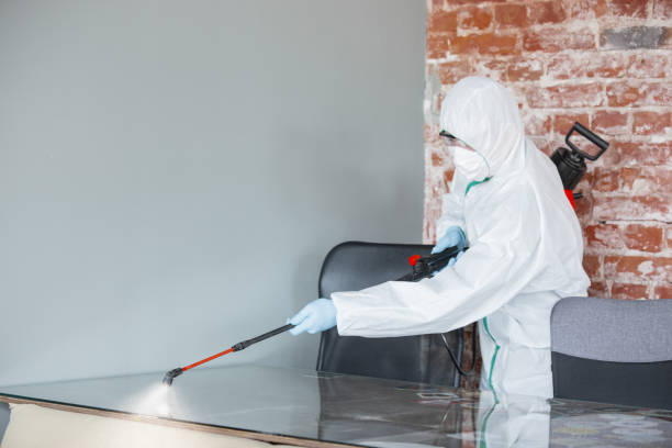 Why You Should Choose Our Mold Remediation Services in Norco, LA